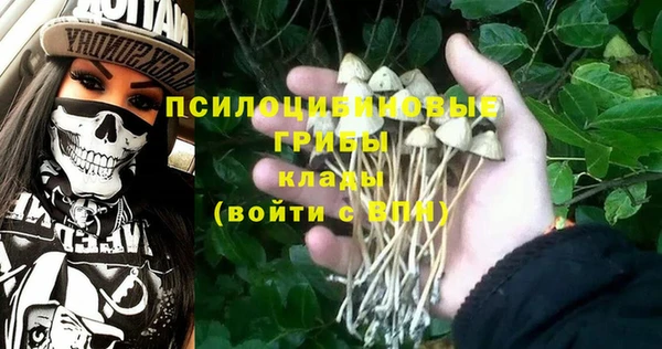 не бодяженный Алексин