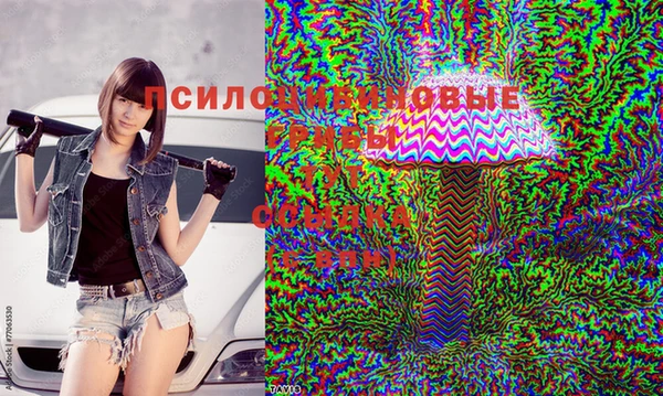 не бодяженный Алексин