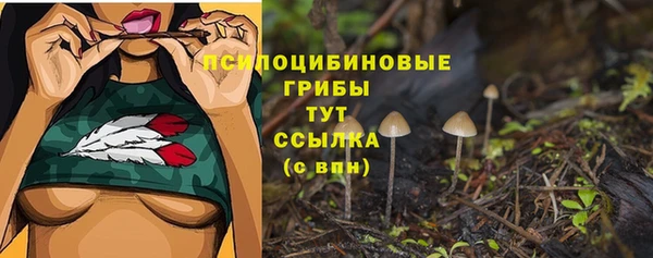 не бодяженный Алексин