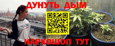 spice Бийск