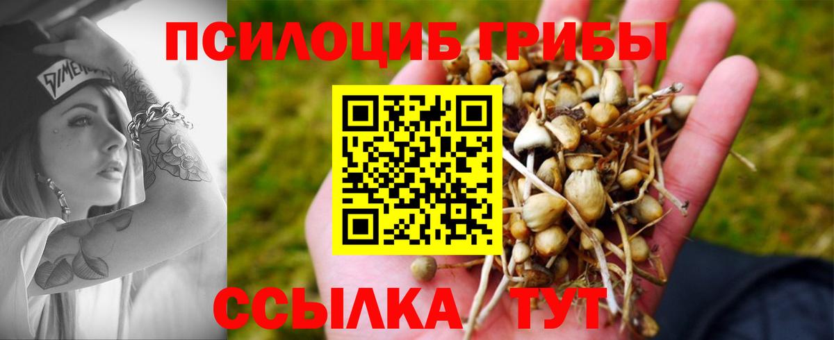Балашиха  Галлюциногенные грибы Psilocybe  Вход с VPN 